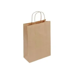 50 Sacs cadeau kraft - poignées torsadées - 14 cm x 8 cm x 21 cm - brun