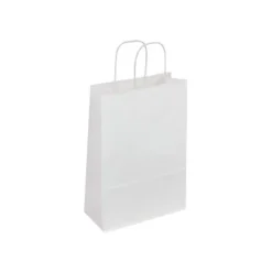 50 Sacs cadeau kraft - poignées torsadées - 22 cm x 10 cm x 30,5 cm - blanc