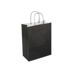 50 Sacs cadeau kraft - poignées torsadées - 23 cm x 12 cm x 30 cm - noir