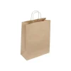 24 Sacs cadeau kraft - poignées torsadées - 54 cm x 15 cm x 49 cm - brun