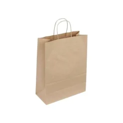 24 Sacs cadeau kraft - poignées torsadées - 54 cm x 15 cm x 49 cm - brun