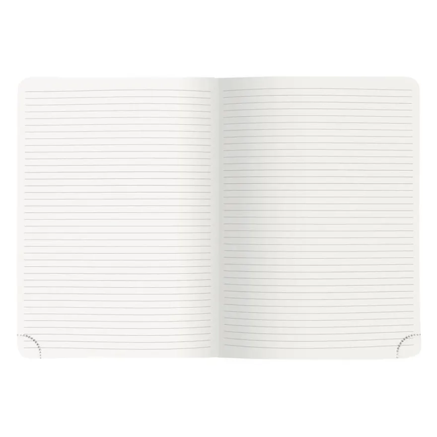 Agenda de bureau Cléa All in One Horizons 20S Visuel spiralé - 1 semaine sur 2 pages + 1 carnet de notes ligné -15 x 21 cm - Violet/Or - Exacompta