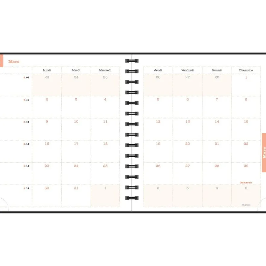Agenda de bureau Sophie Adde Lady 18S spiralé - 1 semaine sur 2 pages - 15 x 17 cm - Oranges - Exacompta