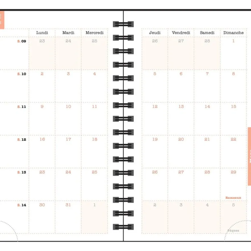 Agenda de poche Dodo & Cath Lady 16S spiralé - 1 semaine sur 2 pages - 9 x 16 cm - Poisson rouge - Exacompta