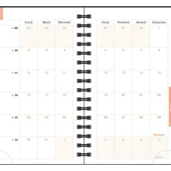 Agenda de poche Sophie Adde Lady 16S spiralé - 1 semaine sur 2 pages - 9 x 16 cm - Chats - Exacompta