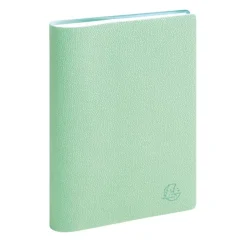 Agenda de poche spiralé 16 mois Joy - 1 semaine sur 2 pages - 10 x 15 cm - Pistache - Exacompta