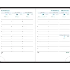 Agenda de poche Winner - 1 semaine sur 2 pages - 10,5 x 15,5 cm - disponible dans différentes couleurs - Exacompta