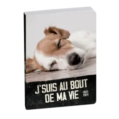 Agenda Funny Pets - 1 jour par page - 12 x 18 cm - chiot - Exacompta