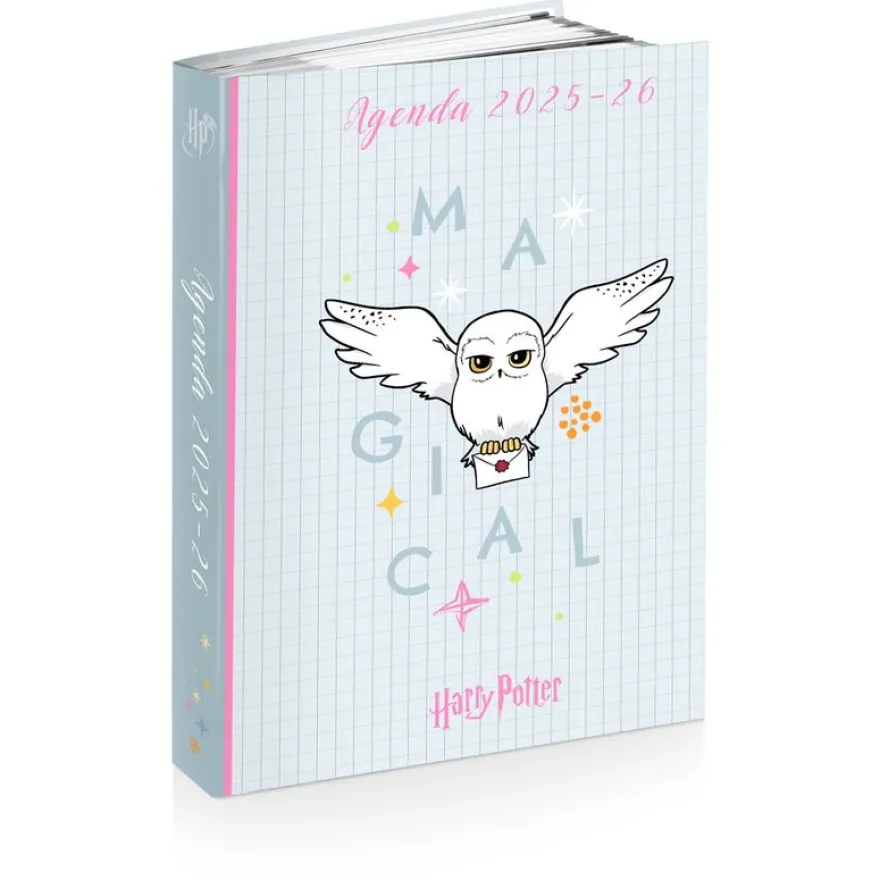 Agenda HARRY POTTER HEDWIG 12 x 17 cm - 2 modèles au choix - Kid'Abord
