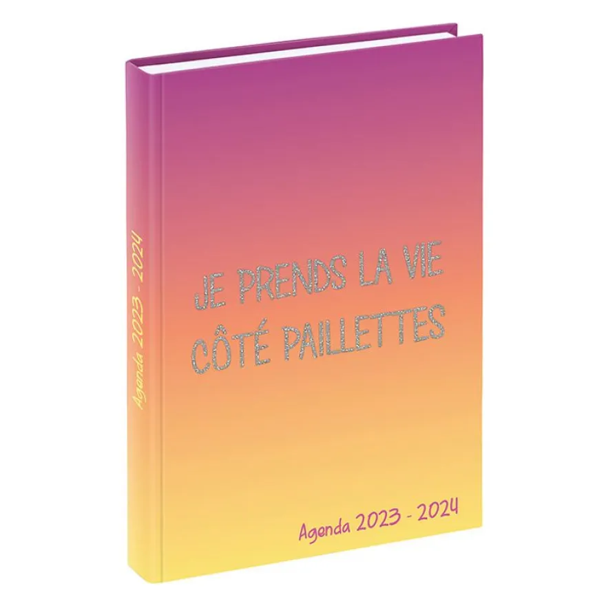 Agenda Humour Pailleté - 1 jour par page - 12 x 17 cm - 2 modèles disponibles - Viquel