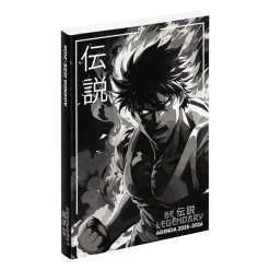 Agenda Manga "boy" - 1 jour par page - 12 x 17 cm - Viquel