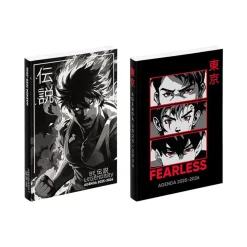 Agenda Manga "boy" - 1 jour par page - 12 x 17 cm - Viquel