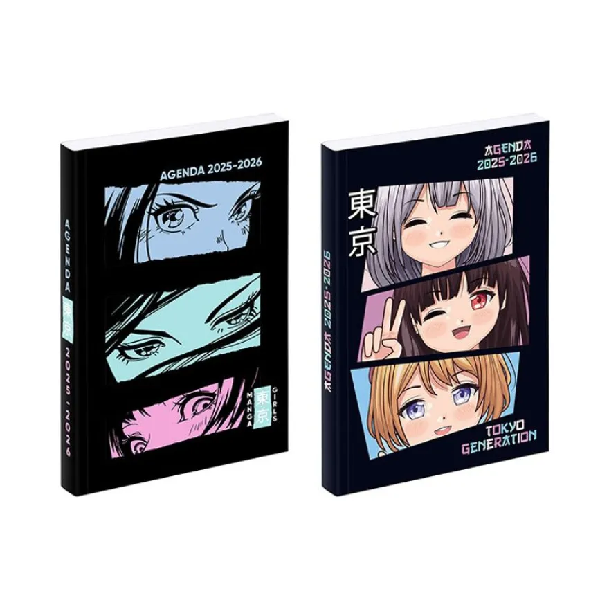 Agenda Manga "girl" - 1 jour par page - 12 x 17 cm - Viquel