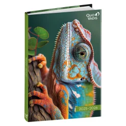Agenda Mes Potes à pattes - 1 jour par page - 12 x 17 cm - différents modèles disponibles - Quo Vadis