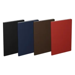Agenda Scolaire Classique LECAS - 16x24 cm - 4 décors - Hamelin