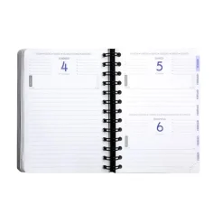 Agenda Shiny - 1 jour par page - 12 x 17 cm - Astral - Exacompta