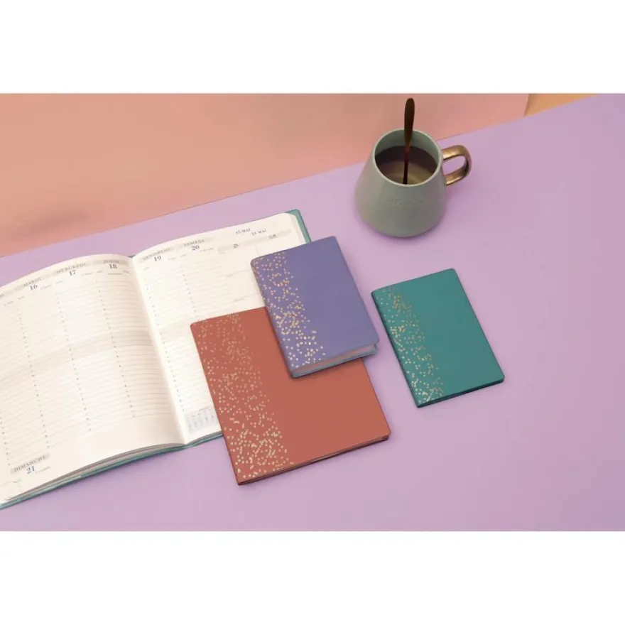 Agenda spiralé Amélie Easytime 27S - 1 semaine sur 1 page - 21 x 27 cm - disponible dans différentes couleurs - Exacompta