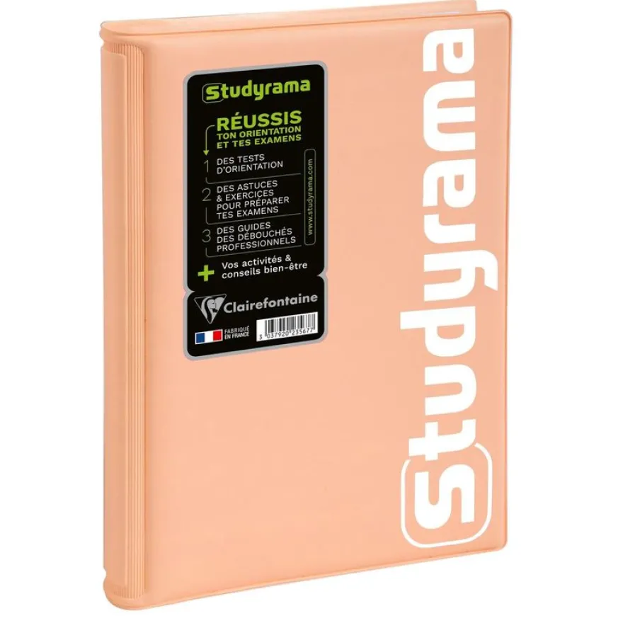 Agenda Studyrama - 1 jour par page - 14 x 20 cm - disponible dans différentes couleurs pastel - Exacompta