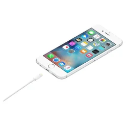 Apple - Câble Lightning - Lightning mâle pour USB mâle - 2 m