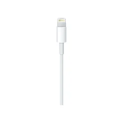Apple - Câble Lightning - Lightning mâle pour USB mâle - 2 m