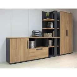 Armoire haute ARCADE - L81 x H184 x P45 - 2 portes - chêne/anthracite