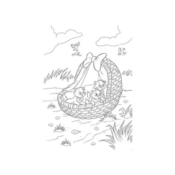 Atelier de coloriages - Les Bébés Animaux - Disney Teens
