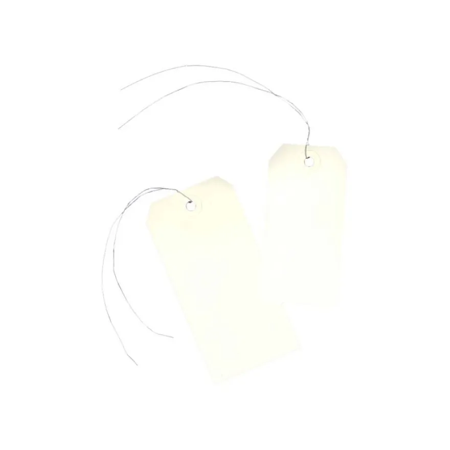 Avery - 1000 Étiquettes américaines à œillets avec fil de fer - 120 x 60 mm - réf 75-410