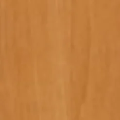 Bibliothèque haute Trend - L80xP35xH180 cm - sans porte - imitation noyer clair