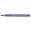 BIC Kids Evolution - 12 Crayons de couleurs triangulaires