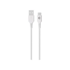 BIGBEN Connected - Câble USB pour 24 pin USB-C (M) - 1.2 m - blanc