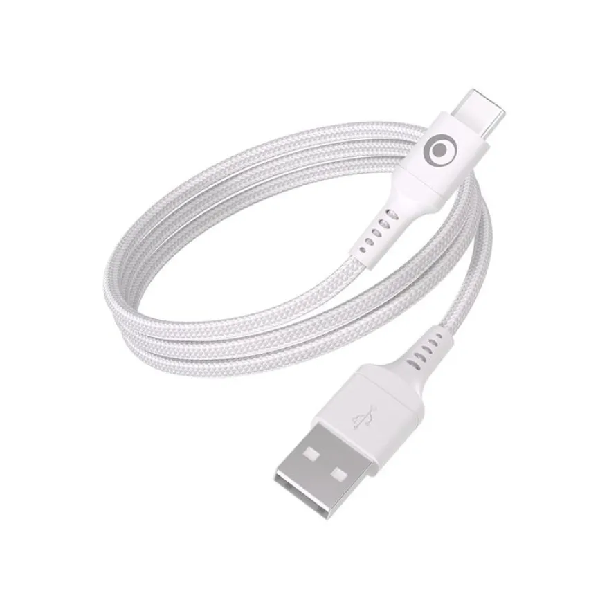 BIGBEN Connected - Câble USB pour 24 pin USB-C (M) - 1.2 m - blanc