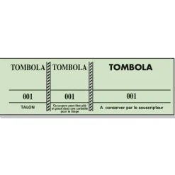 Bloc Tombola – 100 Feuillets Numérotés, 3 Volets, 4,8×15 cm – Couleurs Assorties
