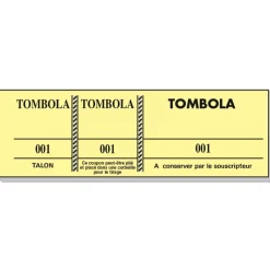 Bloc Tombola – 100 Feuillets Numérotés, 3 Volets, 4,8×15 cm – Couleurs Assorties