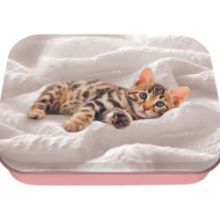 Boite a tout chaton - 11 x 8 cm - Oberthur