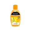 Boldair Professionnel - Désodorisant mèche - 375 ml - jardin d'agrumes