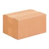 Boîte d’Expédition Master’in Access – 30x20x20 cm, Carton Brun Robuste