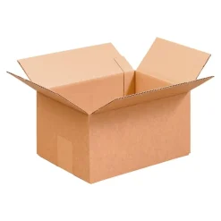 Boîte d’Expédition Master’in Access – 30x20x20 cm, Carton Brun Robuste