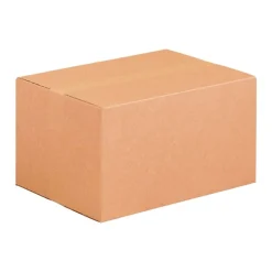 Boîte d’Expédition Master’in Access – Pack de 20, 43x31x20 cm, Carton Brun Résistant