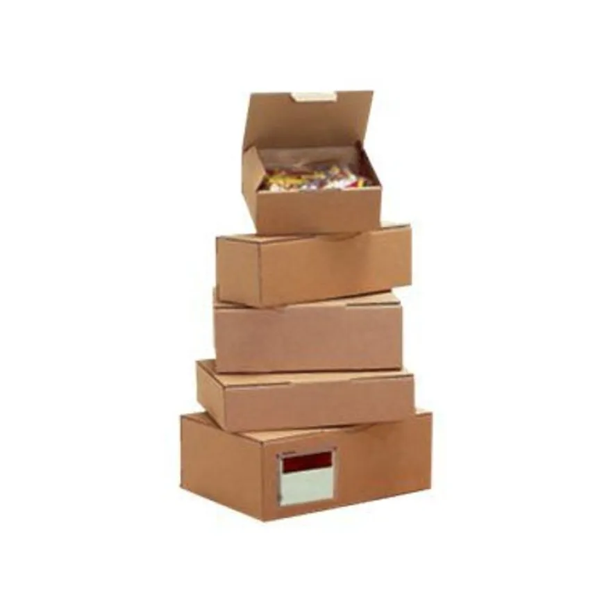 Boîte postale d'expédition - 25 cm x 15 cm x 10 cm - kraft - Torraspapel