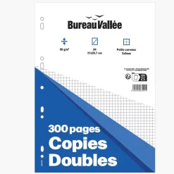 Bureau Vallée - Copies Doubles - 300 pages - A4 - Petits carreaux - Perforées