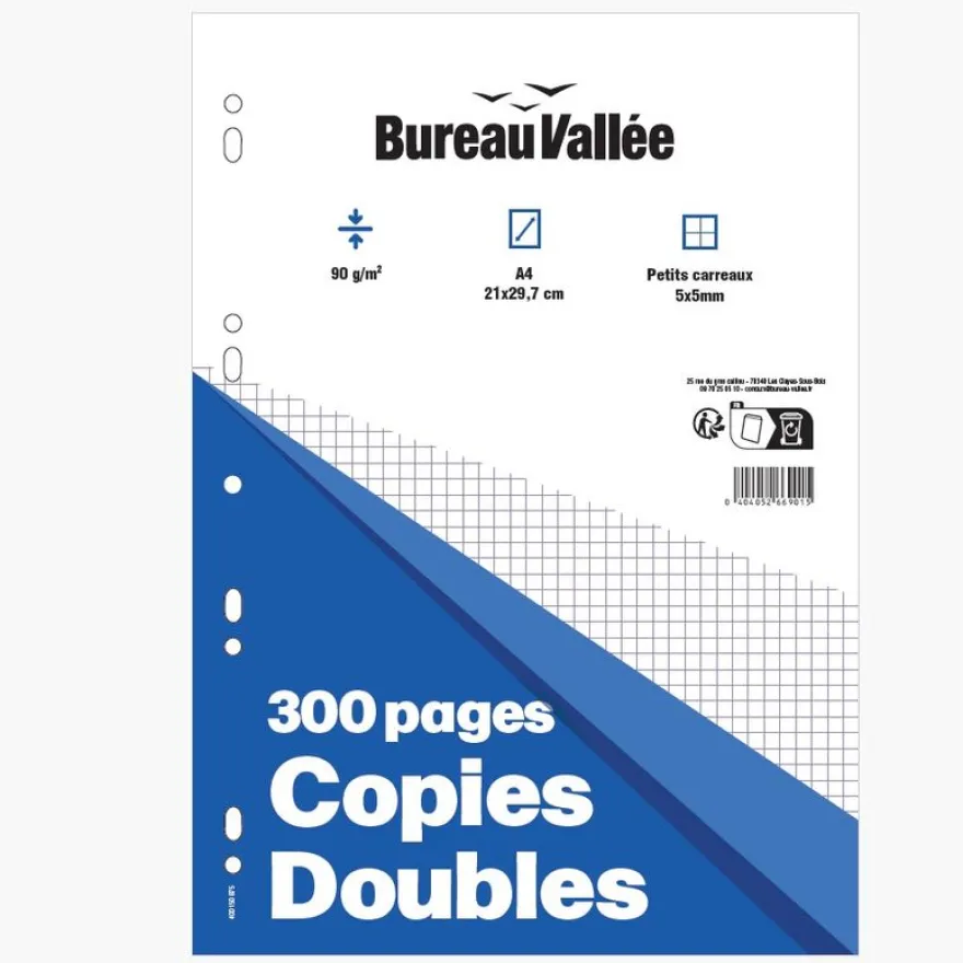 Bureau Vallée - Copies Doubles - 300 pages - A4 - Petits carreaux - Perforées