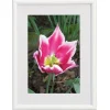 Cadre photo plastique WALTHER "Galeria" pour photo 7 x 10 cm coloris blanc