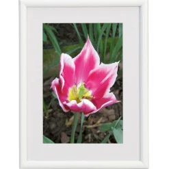 Cadre photo plastique WALTHER "Galeria" pour photo 7 x 10 cm coloris blanc