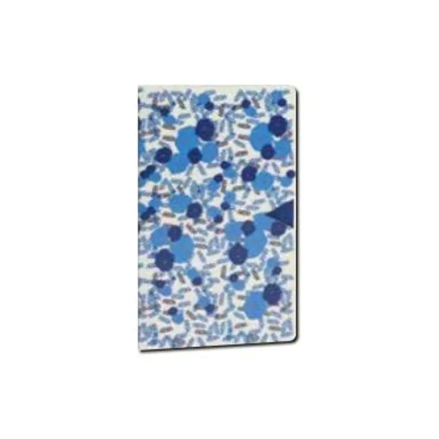 Cahier coutures SINGER SMILE "BOSQUET" 2 motifs assortis
