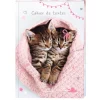 Cahier de texte Chaton tendre duo - 15 x 21 cm - Oberthur