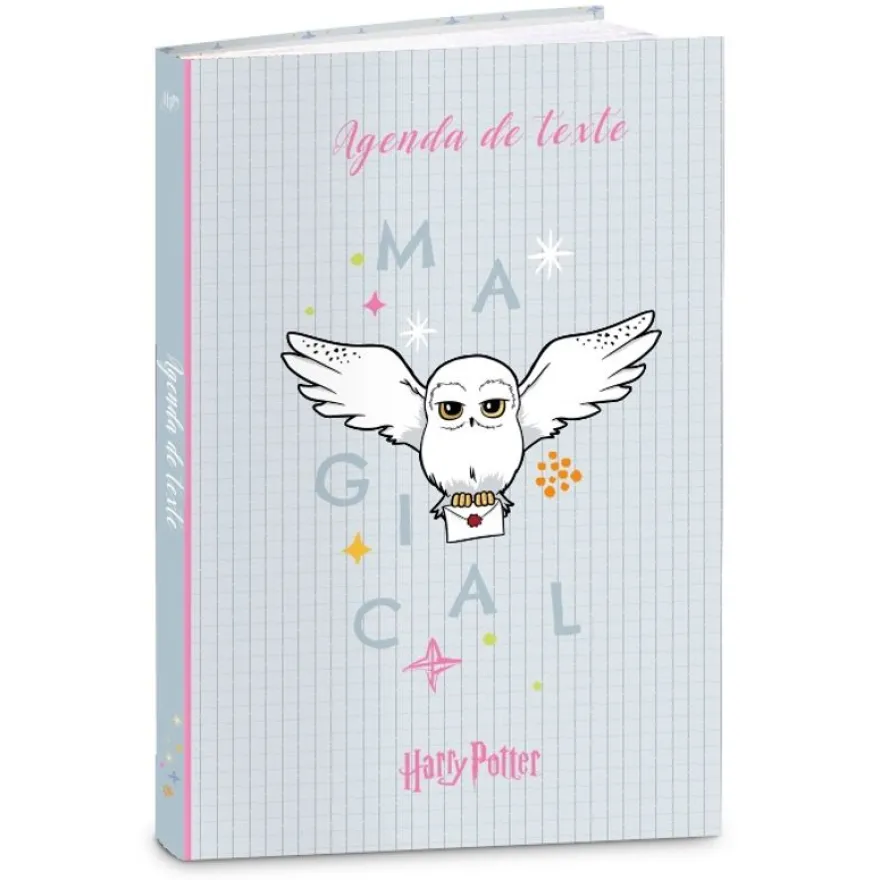 Cahier de texte HARRY POTTER HEDWIG- 15x21 cm- 2 modèles au choix- Kid'Abord