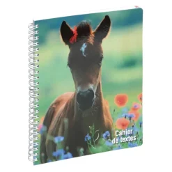Cahier de textes à spirale Animaux - 17 x 22 cm - poulain - Exacompta