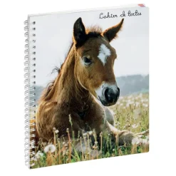 Cahier de textes à spirale Animaux - 17 x 22 cm - Galopin - Exacompta