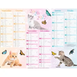Calendrier Chaton - 6 mois par face - 55 x 43 cm - Oberthur