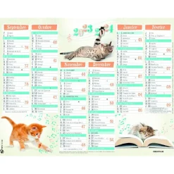 Calendrier Chatons - 7 mois par face - 21 x 26,5 cm - Oberthur